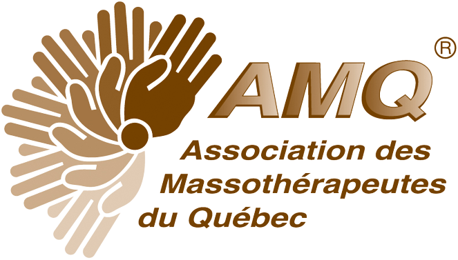 Logo_AMQ_-Transparent
